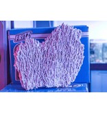 Shelf Rock Per Pound
