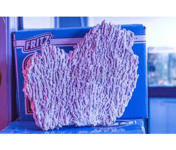 Shelf Rock Per Pound