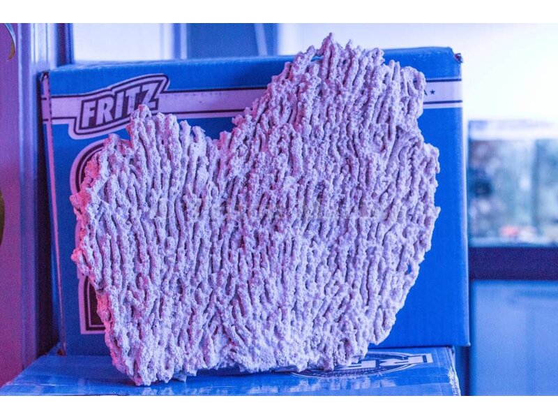 Shelf Rock Per Pound