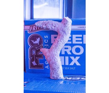 Branching Rock Per Pound