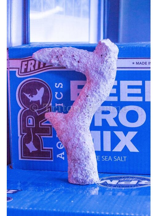 Branching Rock Per Pound