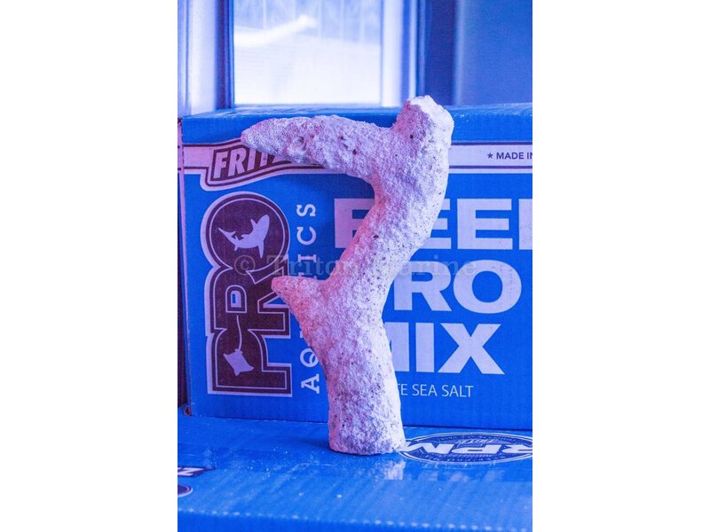 Branching Rock Per Pound