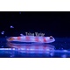 Flagtail Pinkbar Goby (Amblyeleotris yanoi)