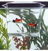 Tom Aquarium Products Tom's Multi-purpose Dip & Pour
