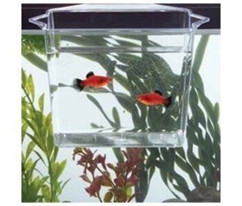 Tom Aquarium Products Tom's Multi-purpose Dip & Pour