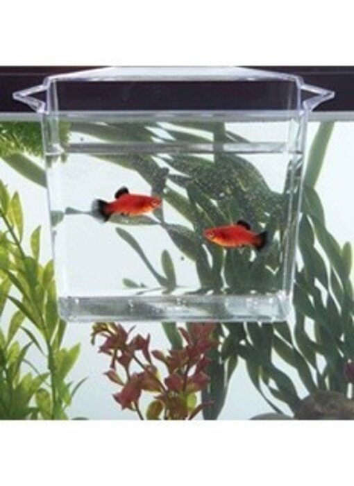 Tom Aquarium Products Tom's Multi-purpose Dip & Pour