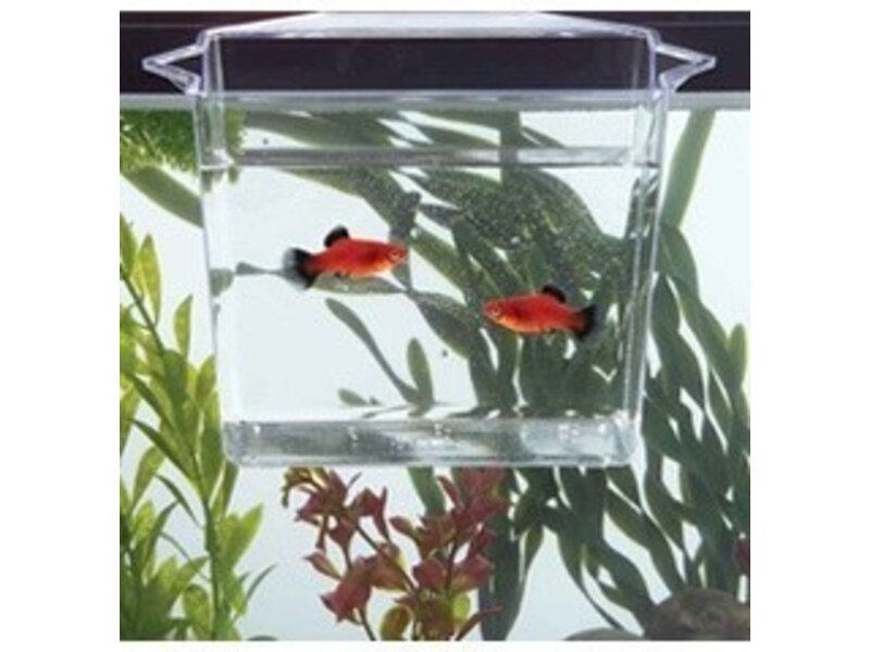 Tom Aquarium Products Tom's Multi-purpose Dip & Pour