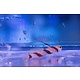 Hi Fin Red Banded Goby (Stonogobiops nematodes)