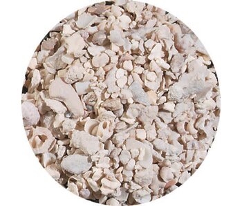 Caribsea Caribsea Aragonite Alive Crushed Coral 20lb