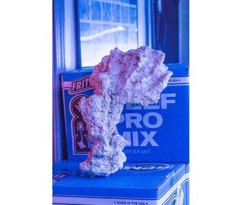 Tonga Shelf with Base Dry Rock