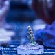 JF Headbanger Acro Frag