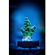 TMA Monster's Inc. Acro Frag