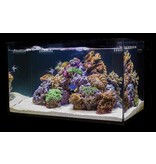 Cobalt Aquatics C-VUE 45 Gallon Aquarium Kit