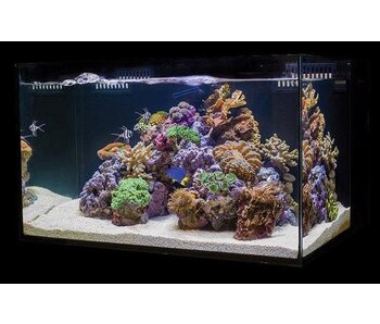Cobalt Aquatics C-VUE 45 Gallon Aquarium Kit