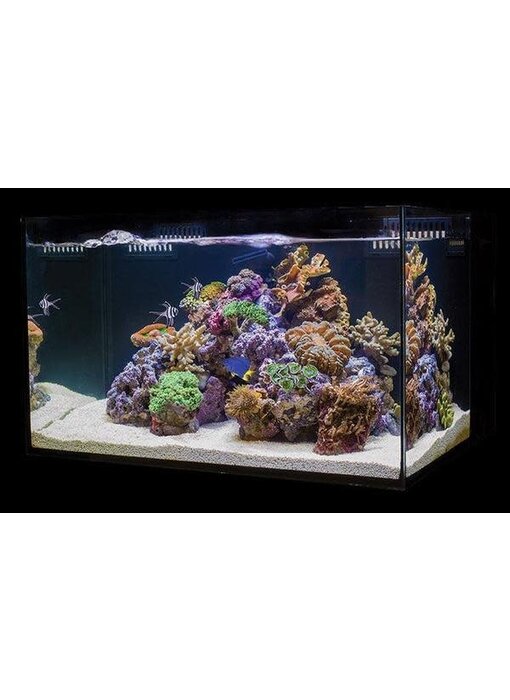 Cobalt Aquatics C-VUE 45 Gallon Aquarium Kit