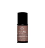 alessandro Striplac - Nude Parisienne