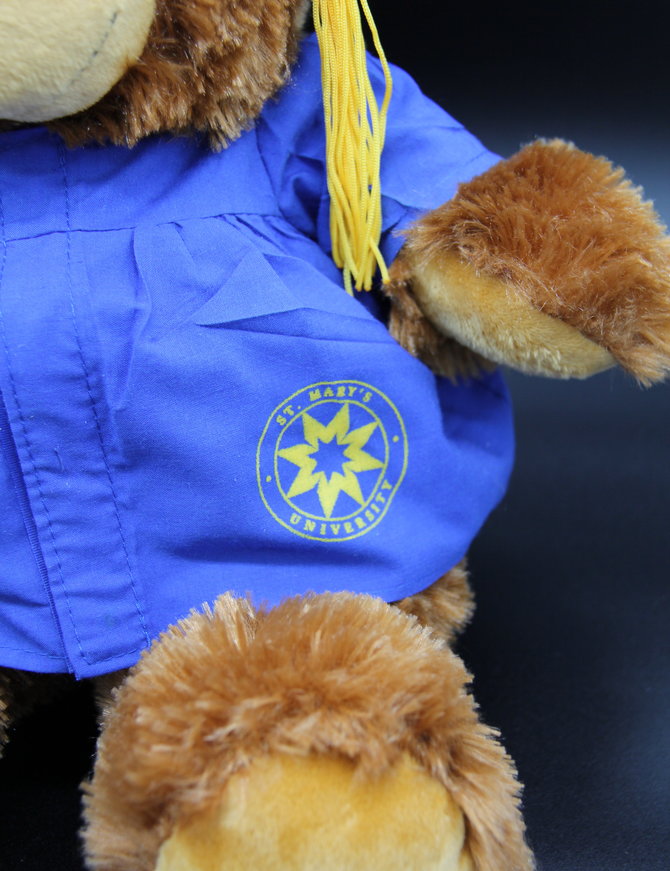 Grad Bobby Bear with Blue Gown 12"