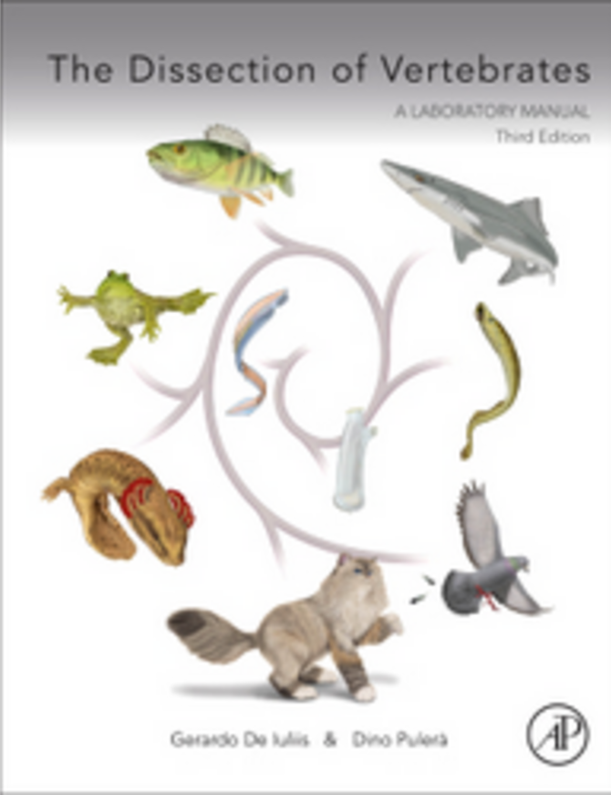 Dissection of Vertebrates