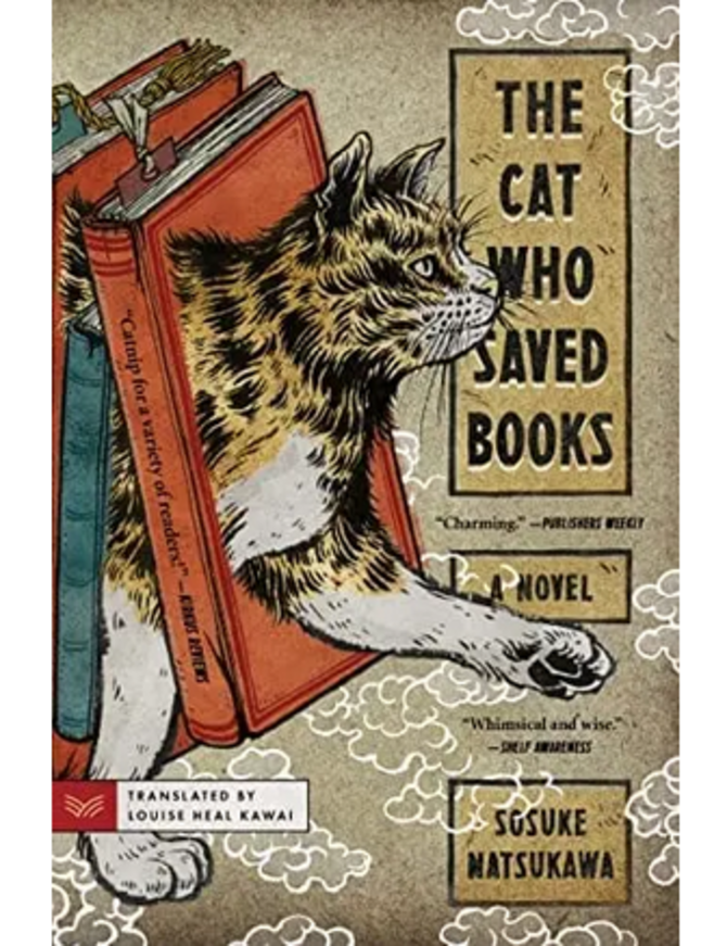 The Cat who Saved Books
