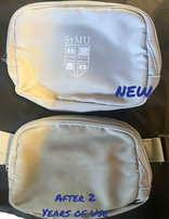 St. Mary's Anywhere Belt Bag