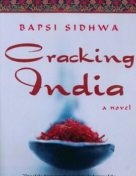 Cracking India