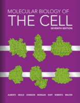 Molecular Biology of the Cell 7th Edition