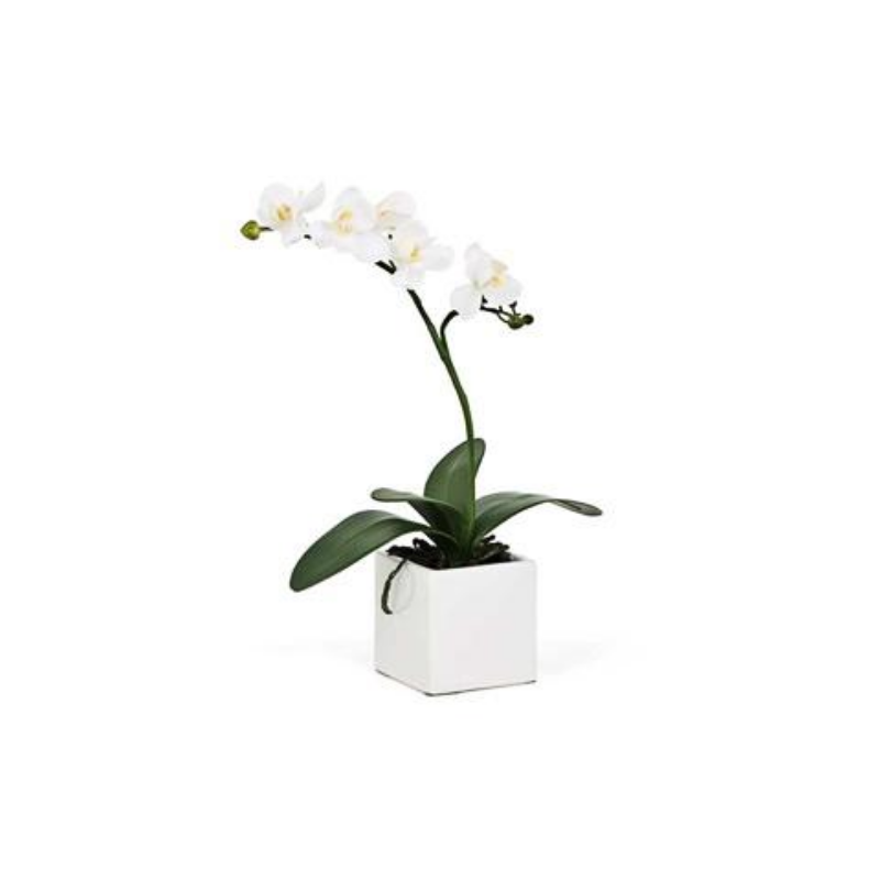 Mini Potted Faux Orchid The Room Collection