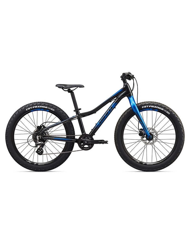 giant xtc mountain bike