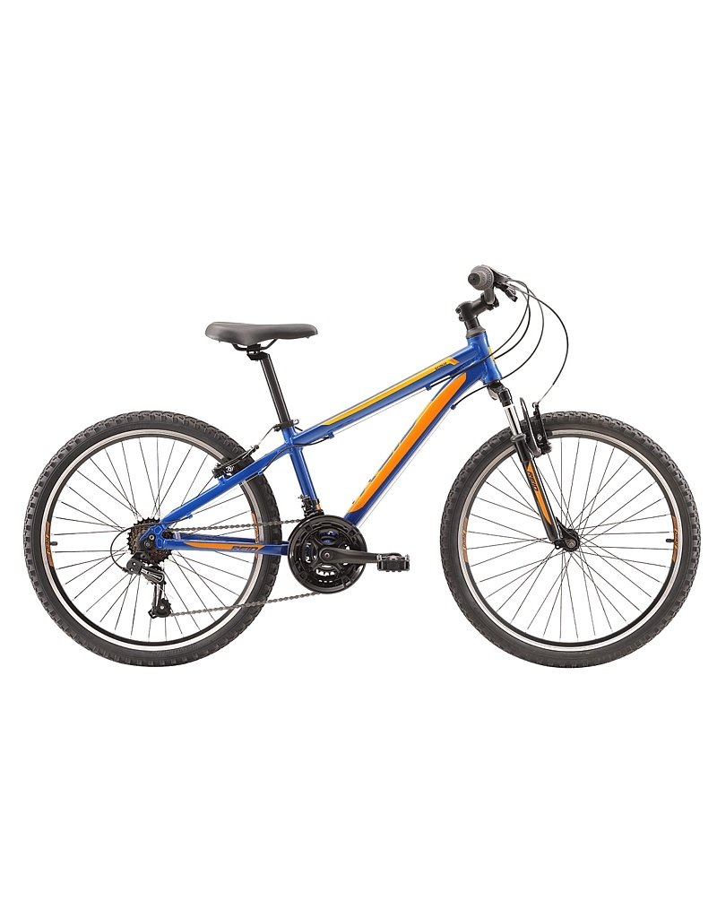 Reid Bikes Boys' Scout 24"