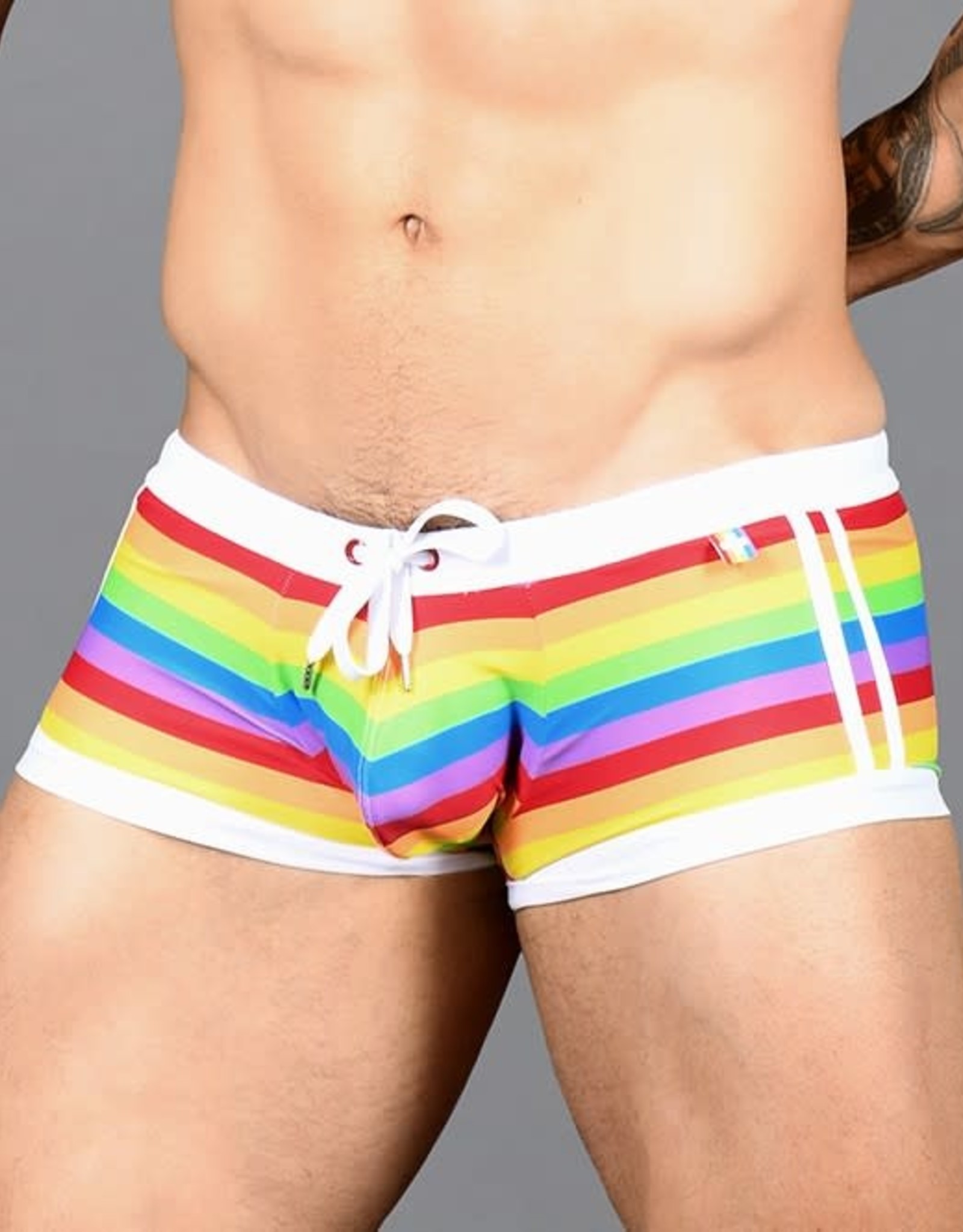 Andrew Christian Pride Stripe Swim Trunk (in store purchase only)