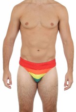 Pride Uzzi Rainbow Bikini