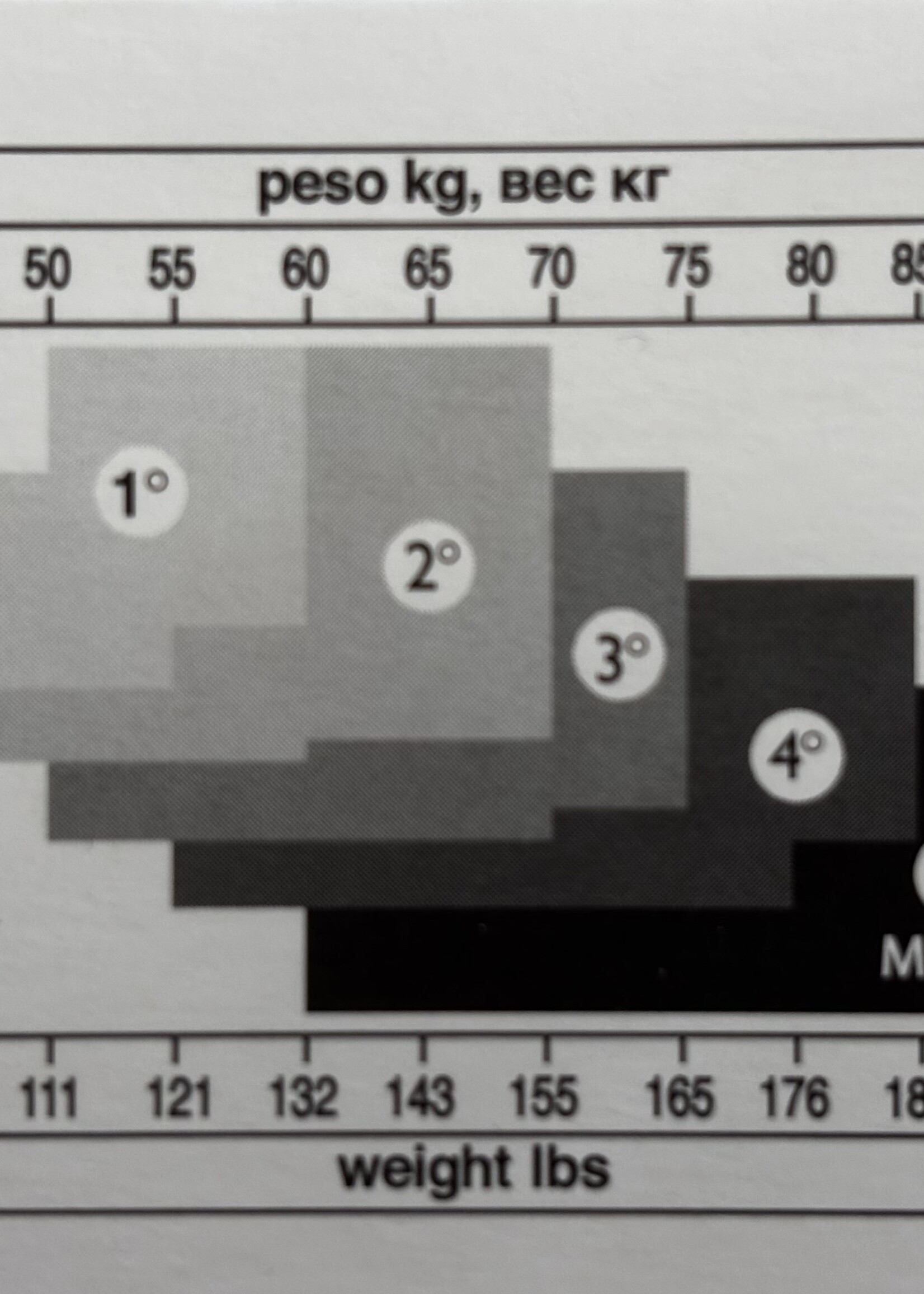 Trasparenze Collant Trasparenze Gregale