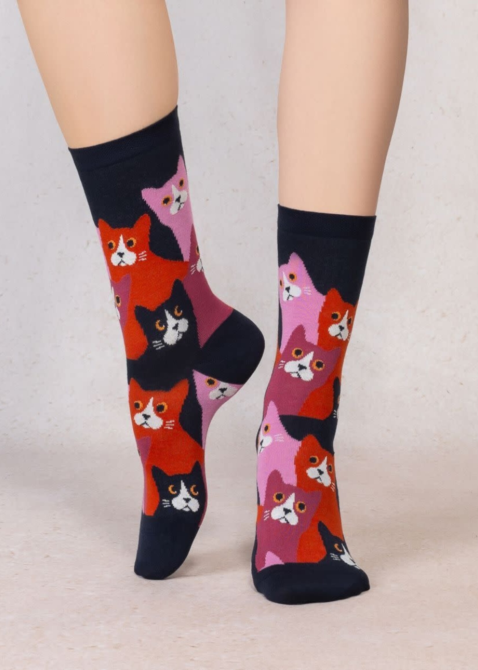 Bleu Forêt Chaussettes BF chats 6631