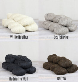 The Fibre Co. Cumbria Fingering