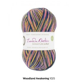 West Yorkshire Spinners Signature 4ply - Zandra Rhodes