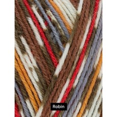 West Yorkshire Spinners Signature 4ply - Robin 941