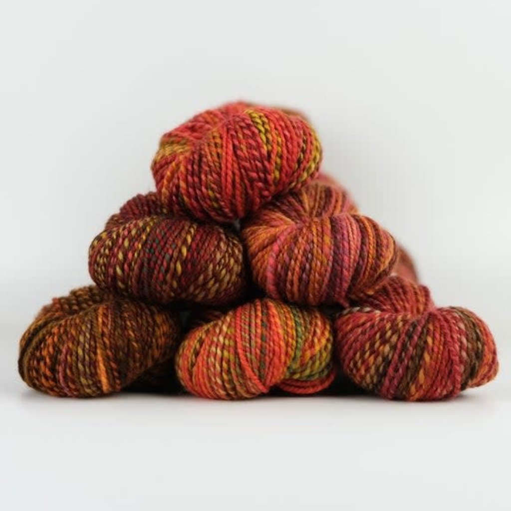 Spincycle Yarns Dyed in the Wool  Rusted Rainbow