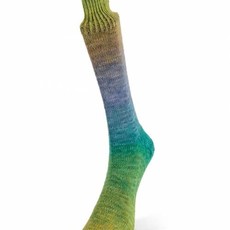 Laines Du Nord Watercolor Sock