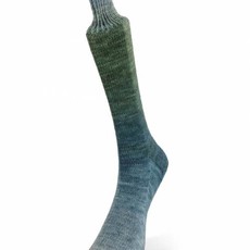 Laines Du Nord Watercolor Sock