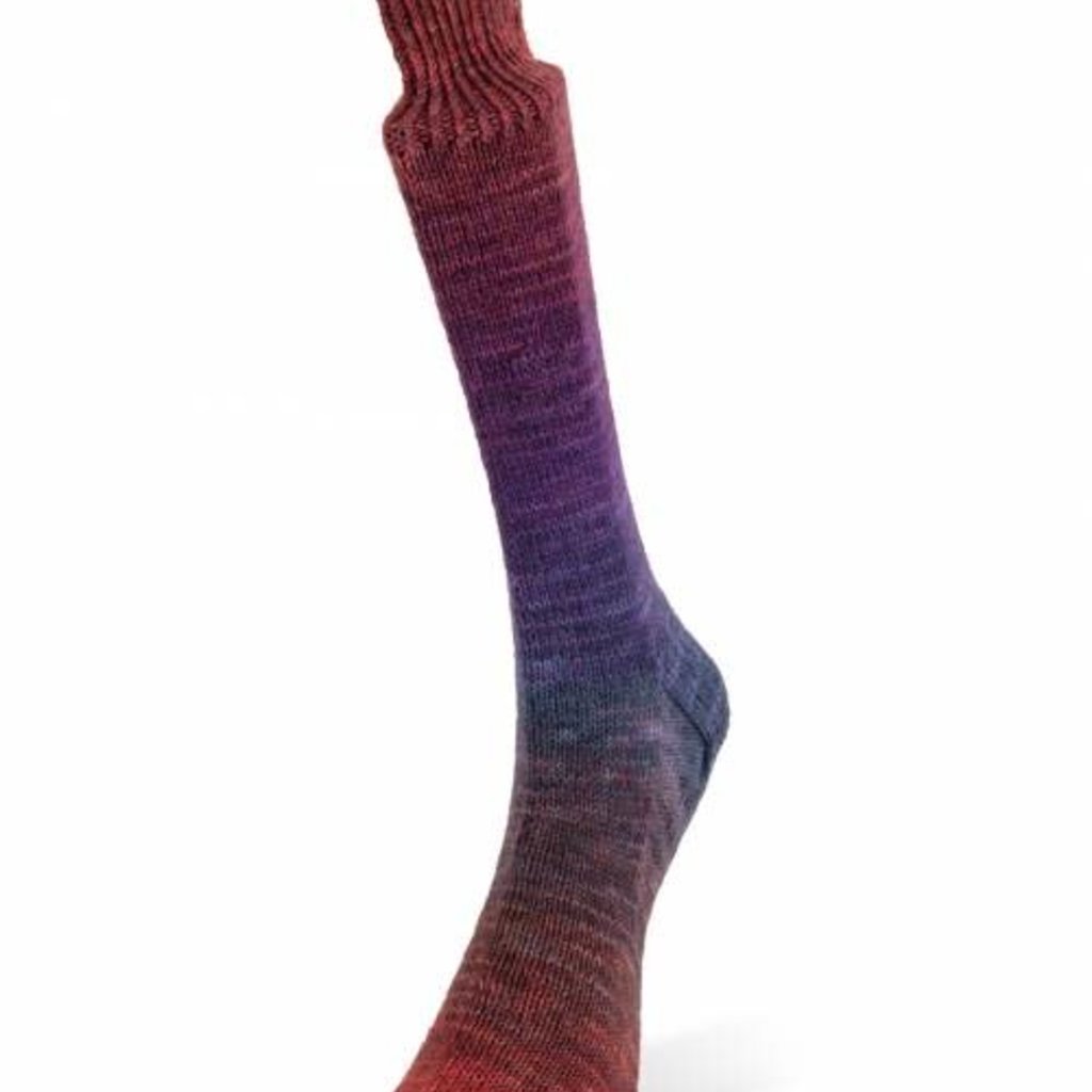 Laines Du Nord Watercolor Sock