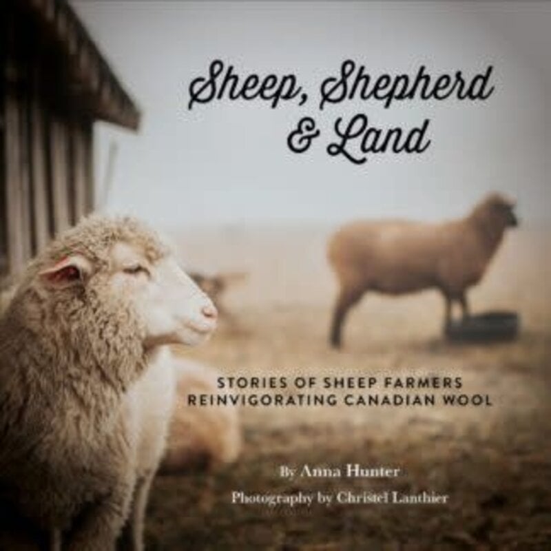 Sheep, Shepherd & Land by Anna Hunter