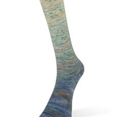 Laines Du Nord Paint Gradient Sock