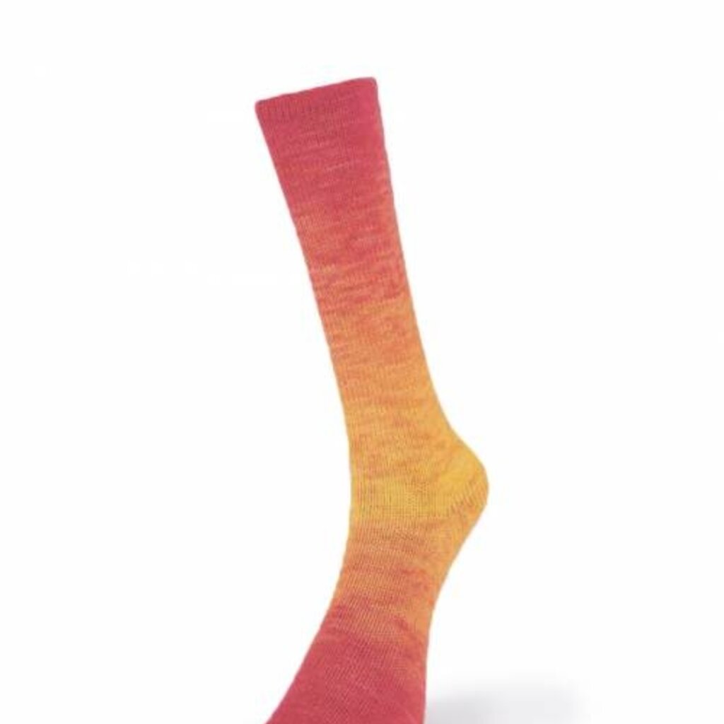 Laines Du Nord Watercolor Sock