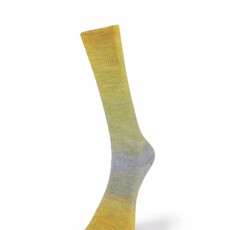 Laines Du Nord Watercolor Sock