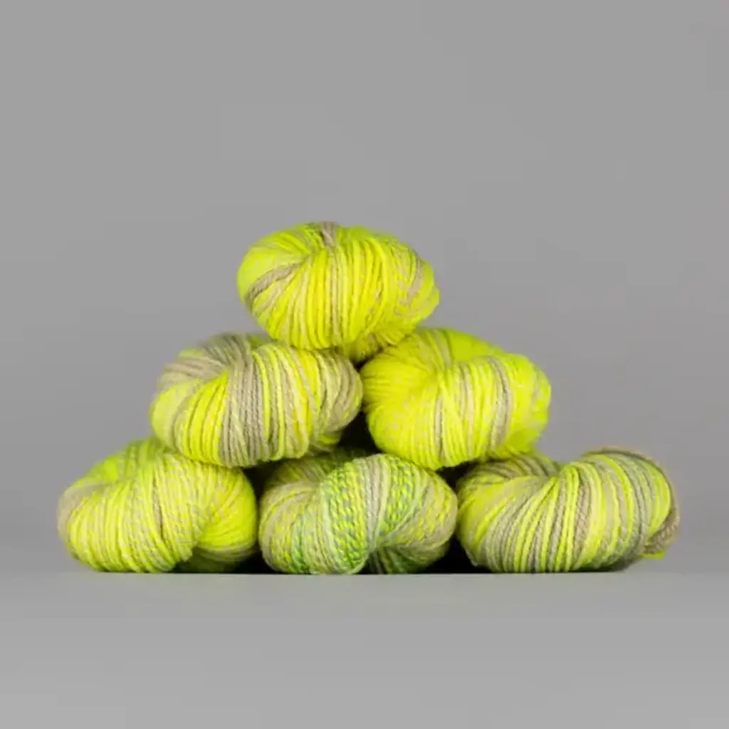 Spincycle Yarns Dyed in the Wool - Bad Egg