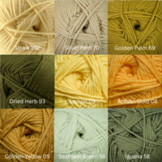 Cascade 220 Superwash Merino