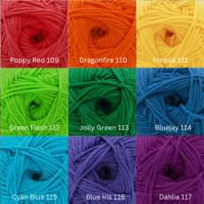 Cascade 220 Superwash Merino
