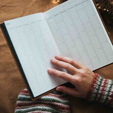 Laine Knitter's Year 2025