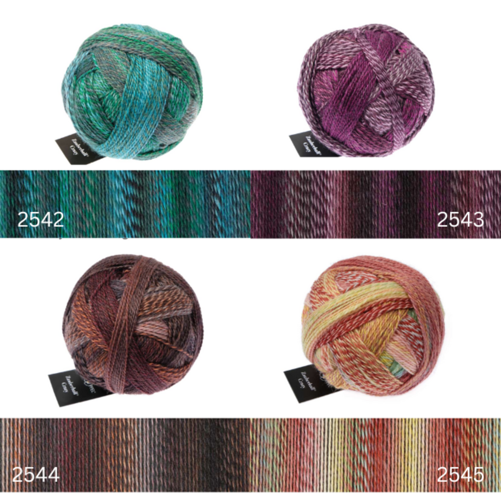 Schoppel Wolle Zauberball Crazy