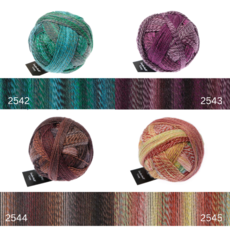 Schoppel Wolle Zauberball Crazy